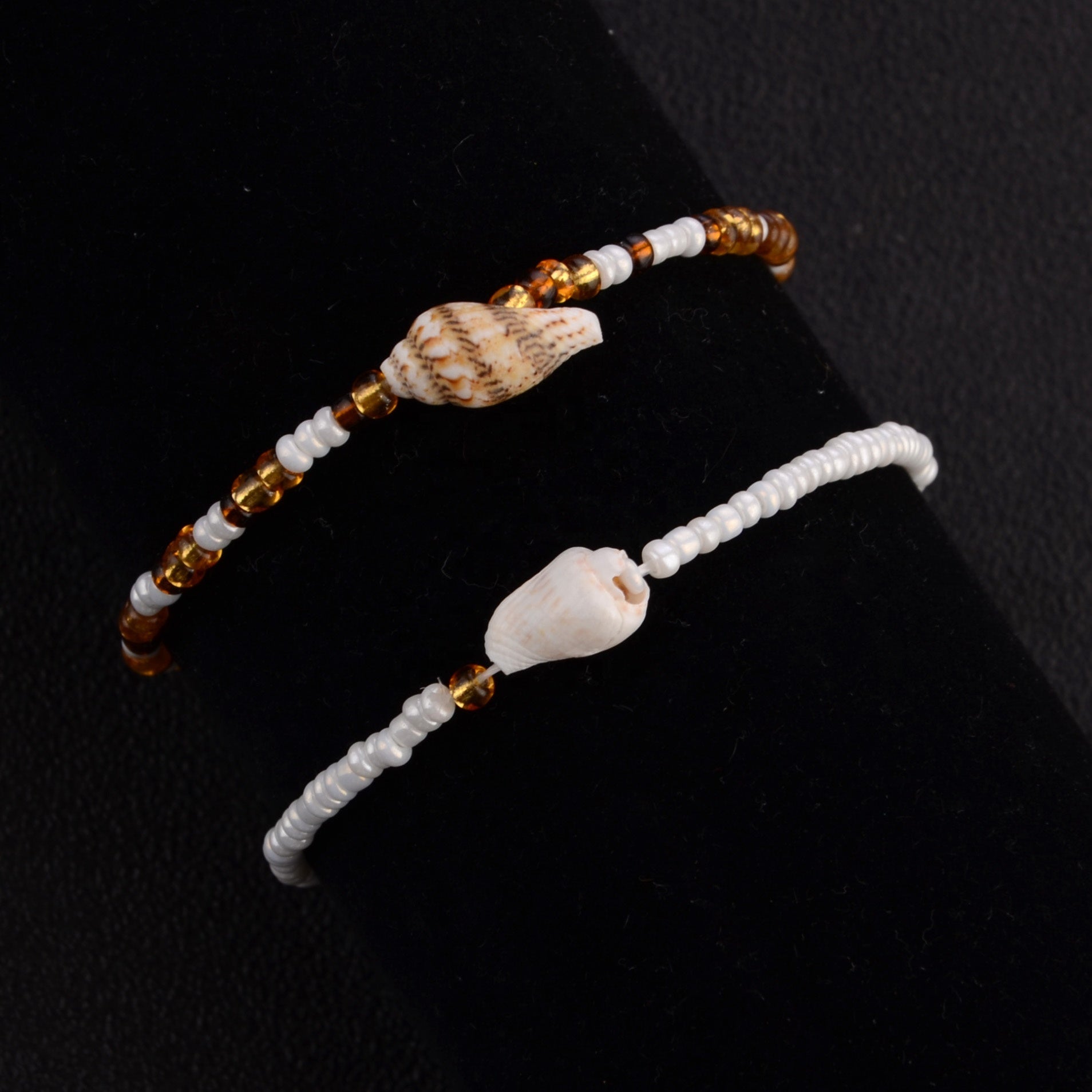 Coral Shell